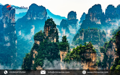 Work Visa Documentation